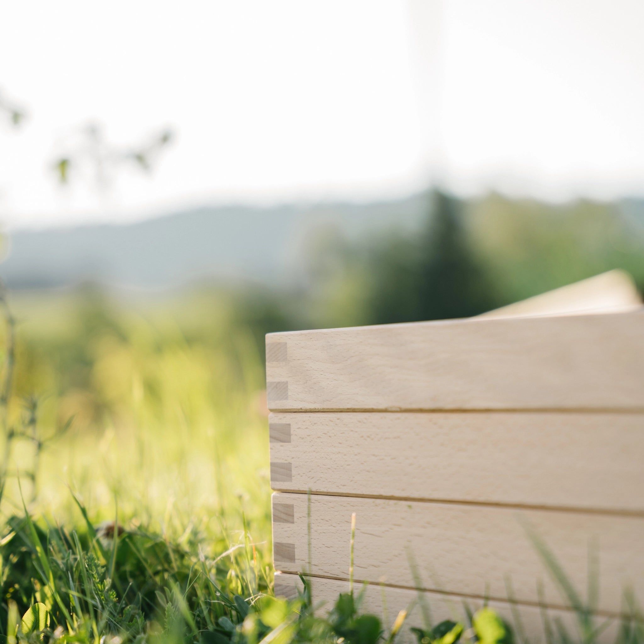 Kräutertrockner aus unbehandeltem Buchenholz mit filigranem weißen Gewebenetz, elegant auf Gras präsentiert. Ideal zur schonenden Trocknung von Kräutern, platzsparend und erweiterbar. Eigenmarke von waelderspielzeug, nachhaltig in Vorarlberg produziert.