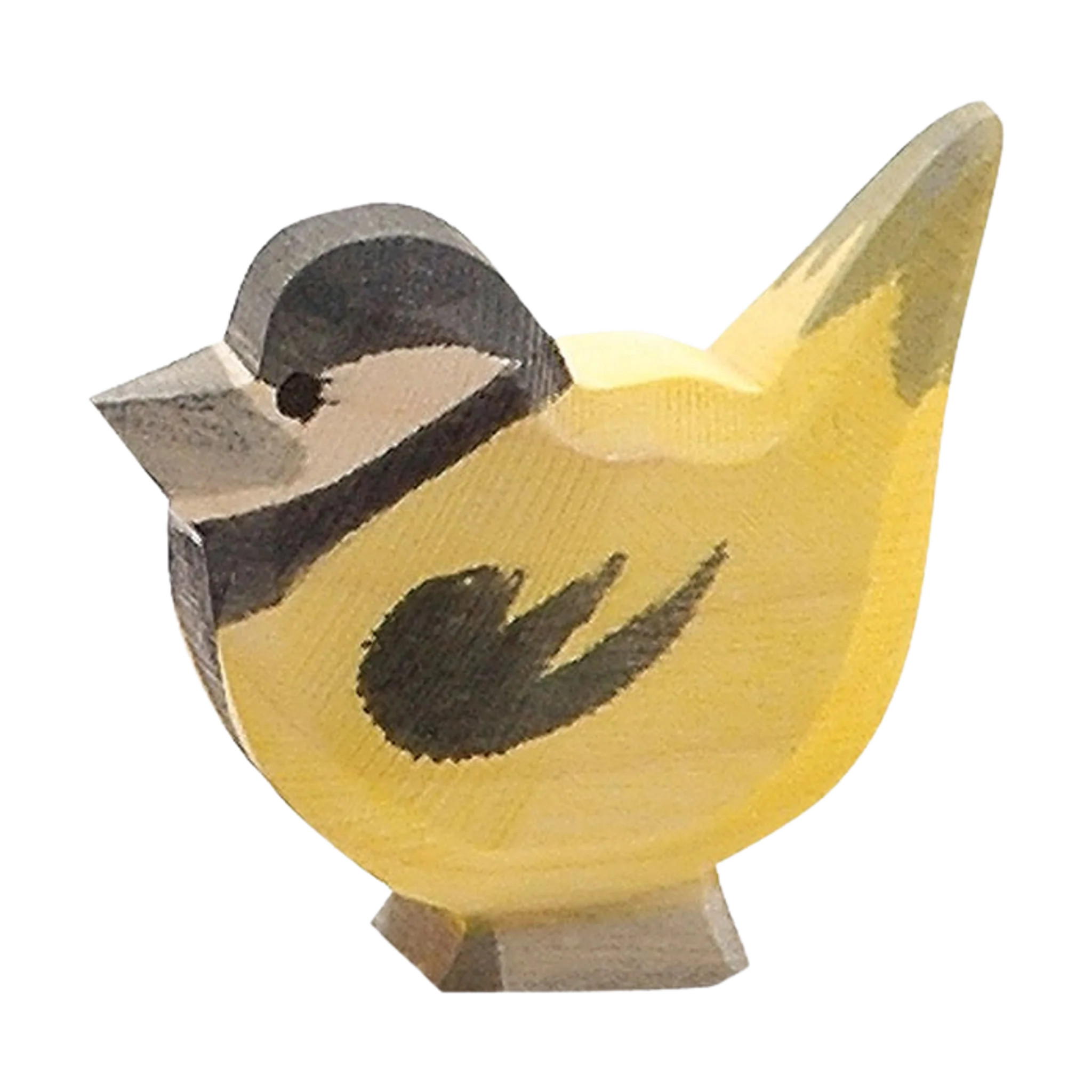 Gelb-schwarze Holzmeise von Ostheimer mit angehobenem Schwanz.