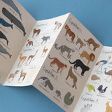 Puzzle: Animal Planet