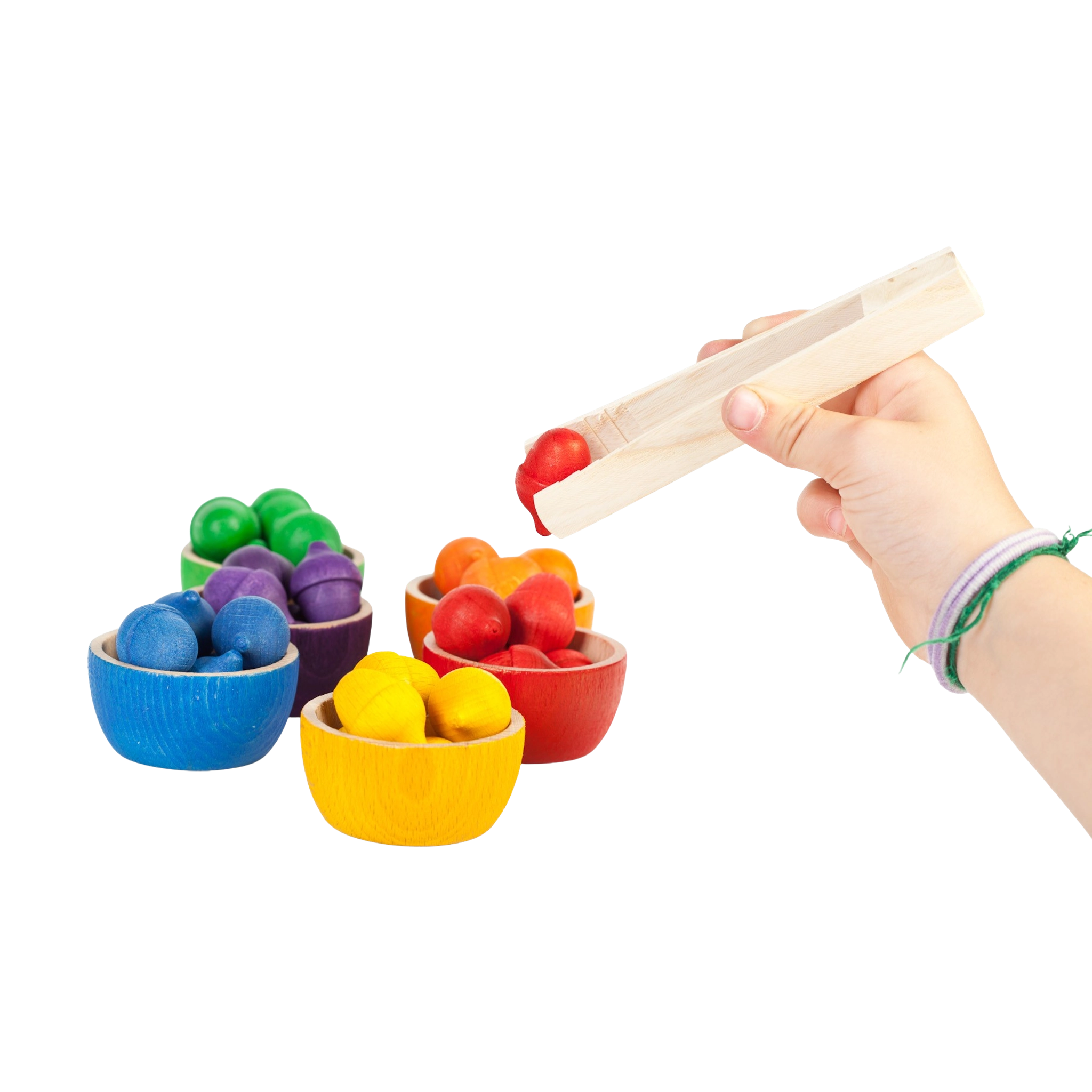 Freies Spiel: Bowls & Acorns – Hand hält Holzzange über bunte Schälchen mit Eicheln. Nachhaltig produziert, ideal für kreatives Kinderspiel, handgefertigt in Spanien.