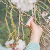 Freies Spiel: Sticks - Eine Hand hält eine kleine, handgefertigte Holzfigur aus nachhaltig geforstetem Holz auf einem Ast. Ideal für kreatives Kinderspiel, im Einklang mit KLICKKLACKs nachhaltigem Designanspruch.