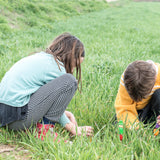 Freies Spiel: Wizards im Gras, zwei Personen interagieren mit den handgefertigten, nachhaltig produzierten Zauberer-Figuren aus Spanien, ideal für kindliches, kreatives Spielen in der Natur.