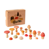 Freies Spiel: Mushroom Grove Set mit etwa 15 handbemalten Holzpilzen in verschiedenen Formen und Größen, präsentiert in einer kleinen, mit Mushroom Grove beschrifteten Kartonbox, ideal für kreatives Spiel.