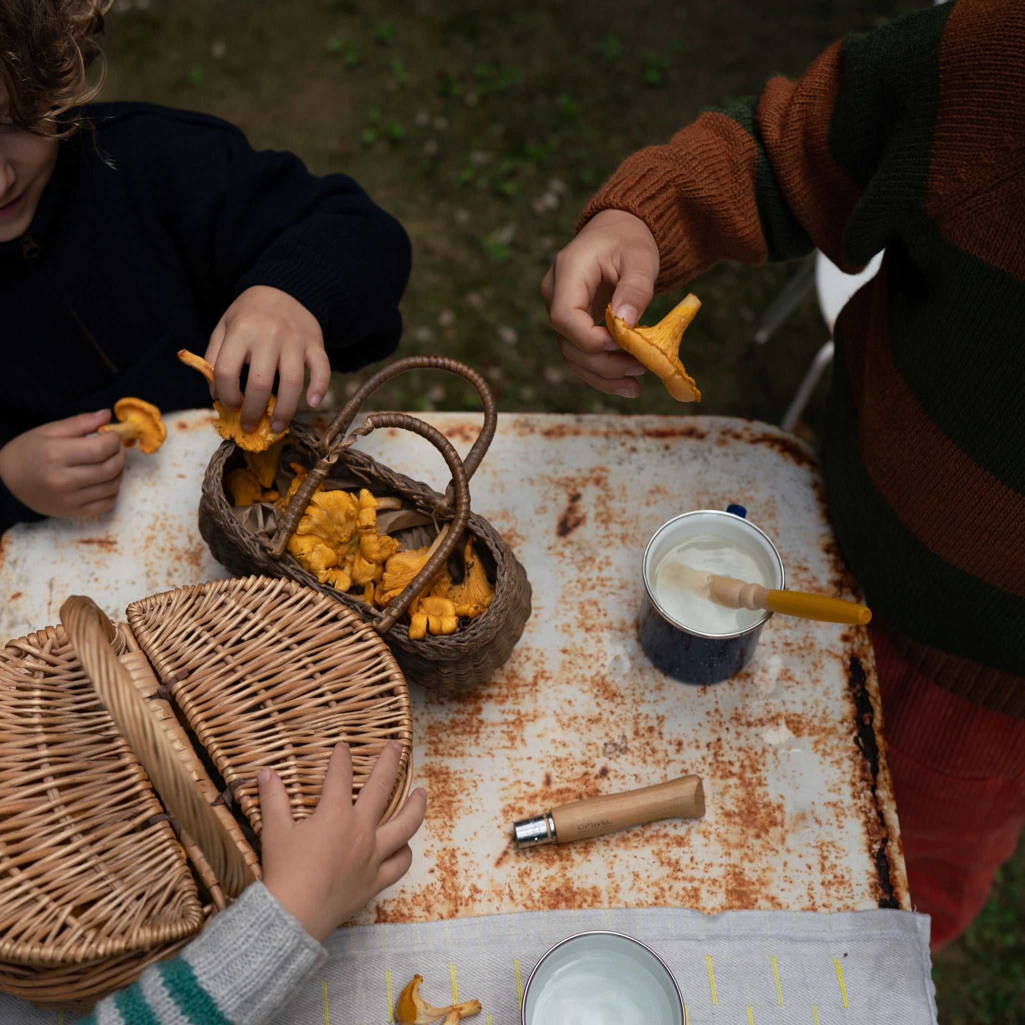 Drei Kinderhände auf einem Tisch mit Chanterelle-Pilzen, die in zwei Weidenkörbchen gesammelt werden. Neben einem Messer und einer Tasse verweist dies auf Freies Spiel: Forest Tree von KLICKKLACK.