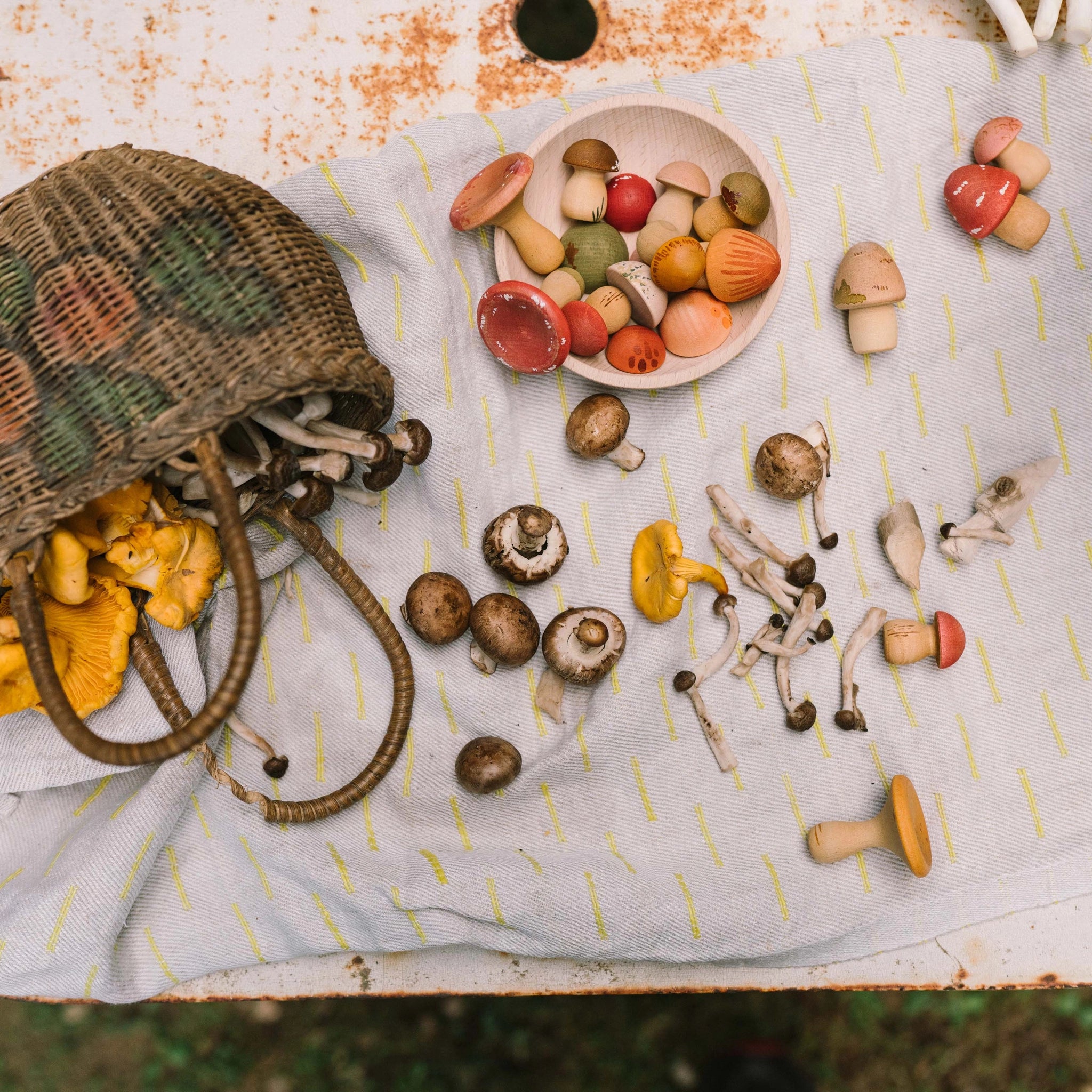 Freies Spiel: Forest Tree - Ein Arrangement aus echten Pilzen, darunter gelbe Pfifferlinge, und bemalten Holzspielzeugpilzen in einer Holzschale, präsentiert auf einem dezent gemusterten Stoff.