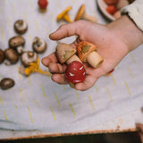 Eine Hand hält drei kleine Holzspielzeugpilze aus der Freies Spiel: Mushroom Grove Kollektion. Umgeben von echten Pilzen, symbolisieren sie naturinspiriertes Spiel und Nachhaltigkeit, passend zur Ästhetik von KLICKKLACK.