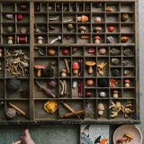 Freies Spiel: Forest Tree - ein alter Setzkasten voller winziger, handgefertigter Holzpilze, echten getrockneten Pilzen, Samen und Bastelmaterialien, inspiriert zu kreativem, nachhaltigem Spiel und Erforschen der Natur.