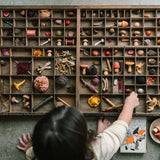 Freies Spiel: Forest Tree – Ein Holz-Organizer mit vielen Fächern, gefüllt mit Naturmaterialien wie Pilzen, Eicheln und Wollstücken. Ein Kind greift neugierig hinein, während eine Illustration von Waldfiguren sichtbar ist.