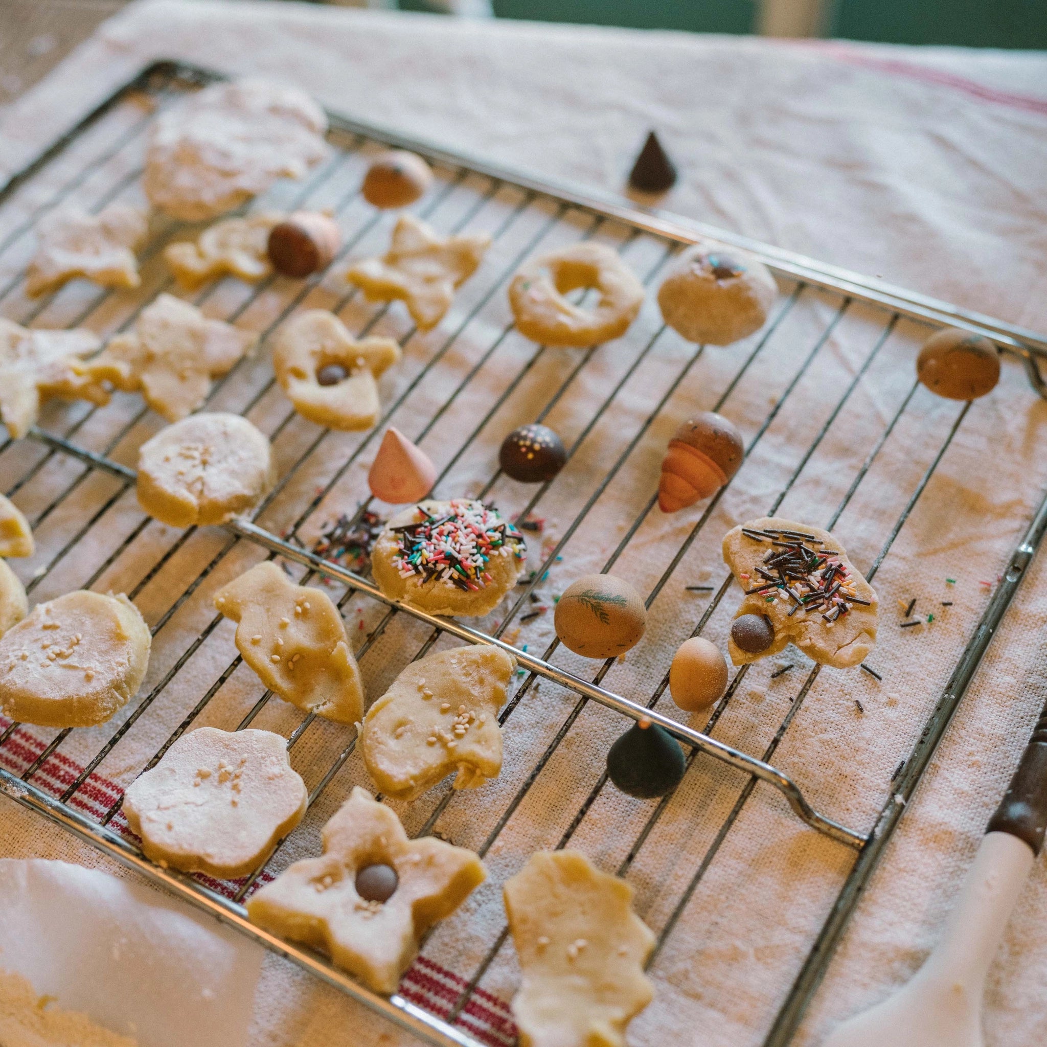 Frisch gebackene Zuckerplätzchen in Stern-, Blumen- und Kreisformen auf einem Gitter, verziert mit Sesam, Streuseln oder Schokoladenknöpfen, präsentiert als Teil von Freies Spiel: Bakes bei KLICKKLACK.