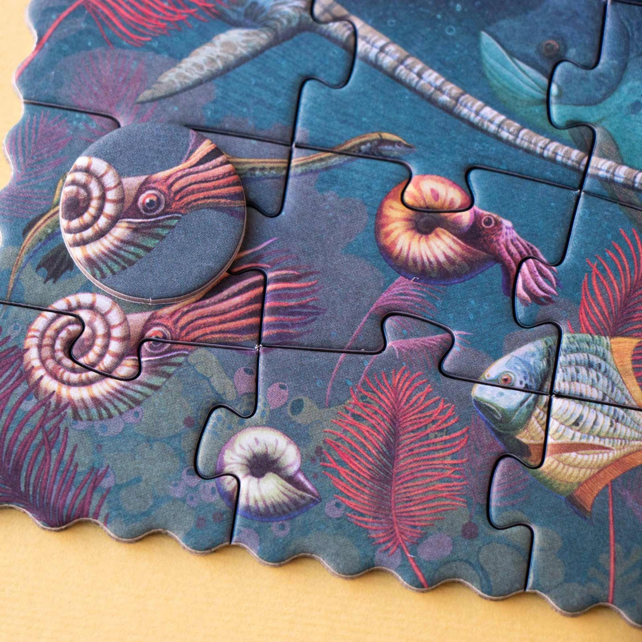 Minipuzzle: Dinosaurs zeigt ein nahes Bild eines Unterwasser-Puzzles mit ammonitenartigen Cephalopoden und roten Korallen auf FSC-Papier und recyceltem Karton, ideal für Kinder ab 5 Jahren.