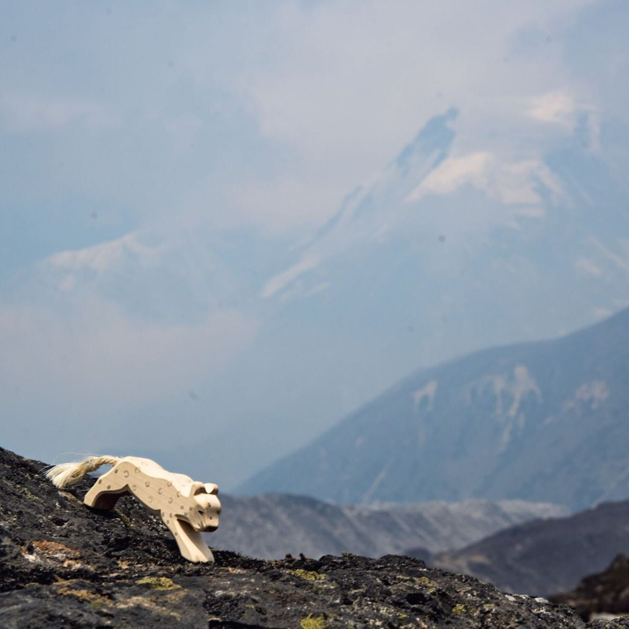 Diabild